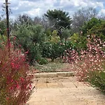 Bed & Breakfast Tenuta La Milogna Gallipoli