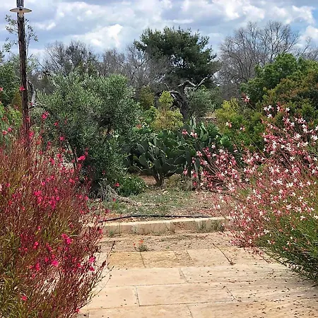 לינה וארוחת בוקר Tenuta La Milogna גאליפולי