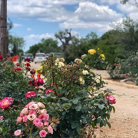 Tenuta La Milogna Oda ve Kahvaltı 3*