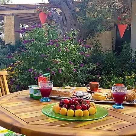 Bed & Breakfast Tenuta La Milogna Gallipoli